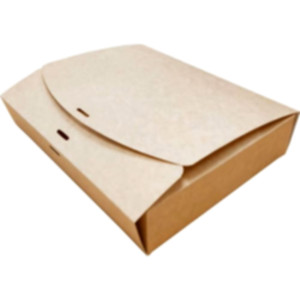 Коробка подарочная 250*200*50 мм, крафт. Photo 2