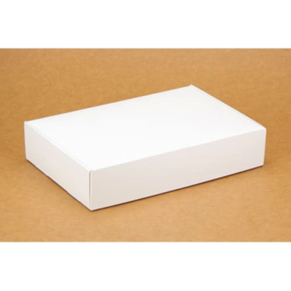 Коробка подарочная 240*160*50 мм, белая